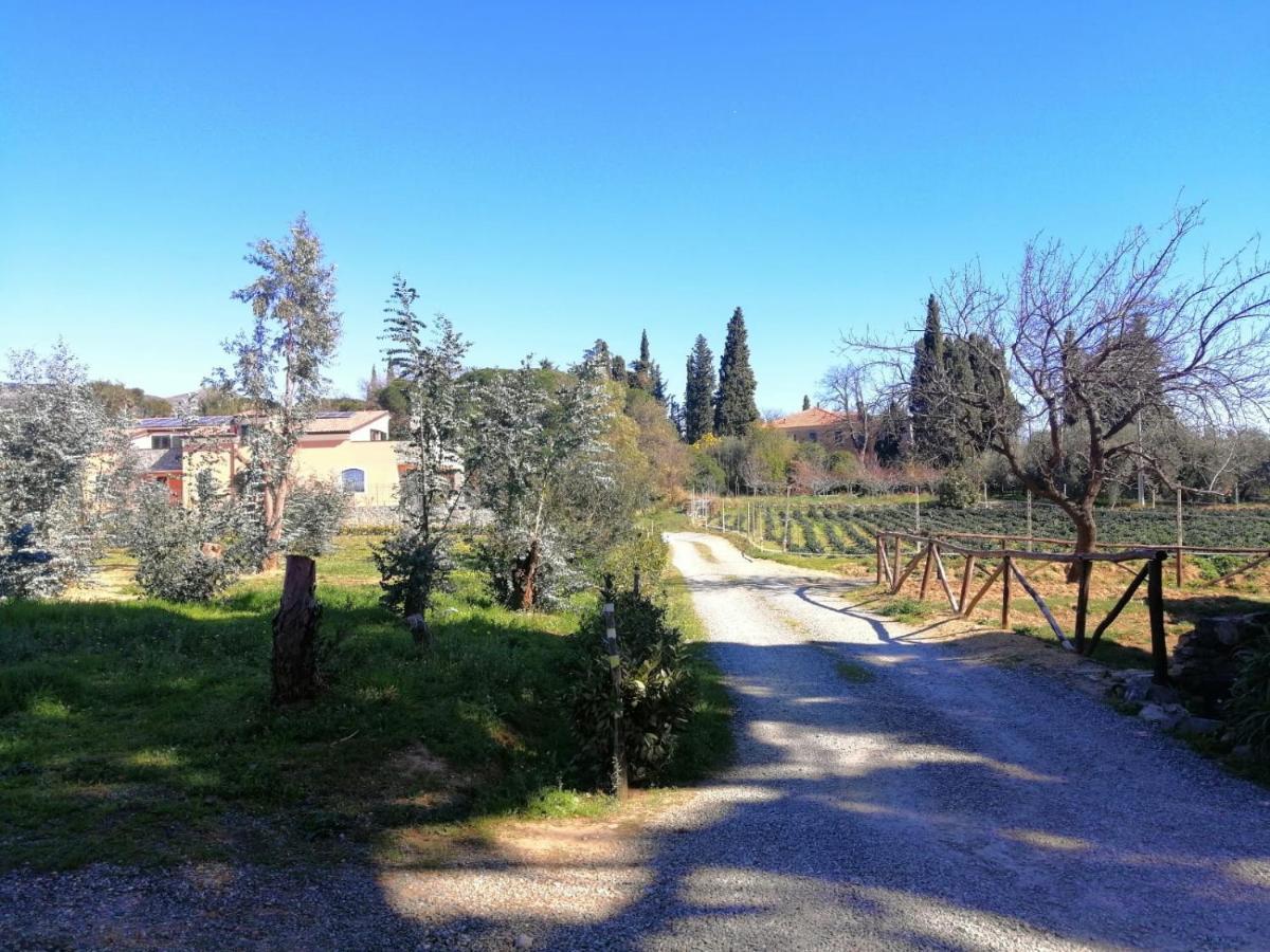 Nonna Litta Villa Albenga Exterior photo
